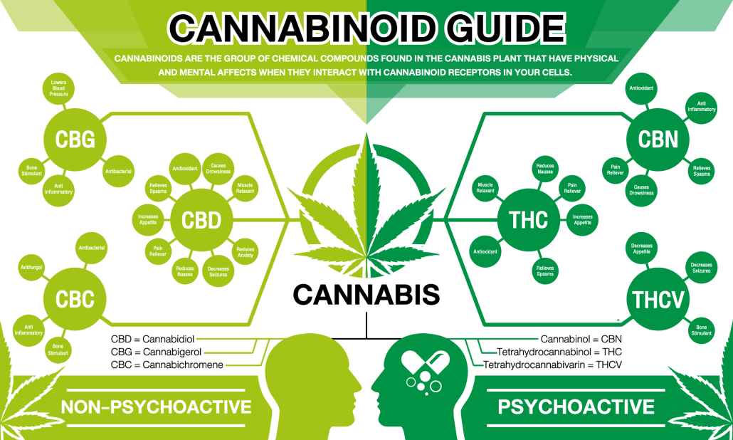 CBD ή THC: Ποιο Είναι Το Κατάλληλο Για Εσάς;