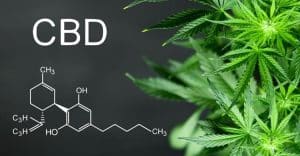 Good Cannabis