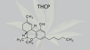Good Cannabis