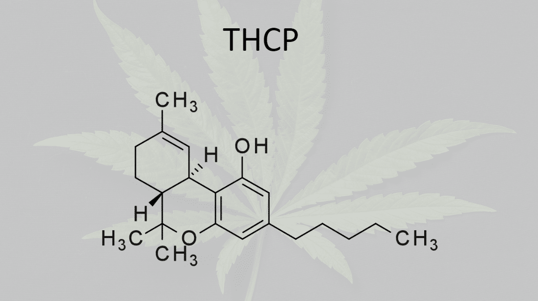 Κάνναβη Και Χαλάρωση: Πώς το THC-P Ενισχύει Την Ψυχική Κατάσταση