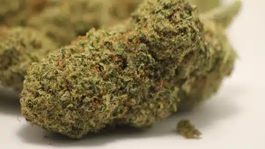 Αξιολόγηση THC-P Buds: Οδηγός Για Το Κατάλληλο Είδος