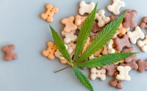 Good Cannabis