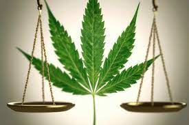 Good Cannabis