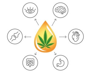Good Cannabis