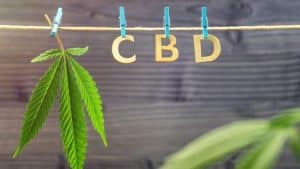 Good Cannabis