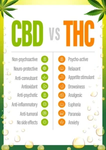CBD ή THC: Ποιο Είναι Κατάλληλο για Ευεξία και Χαλάρωση; Good Cannabis Good Cannabis