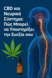 CBD και Νευρικό Σύστημα: Πώς Μπορεί να Υποστηρίξει την Ευεξία σου Good Cannabis Good Cannabis