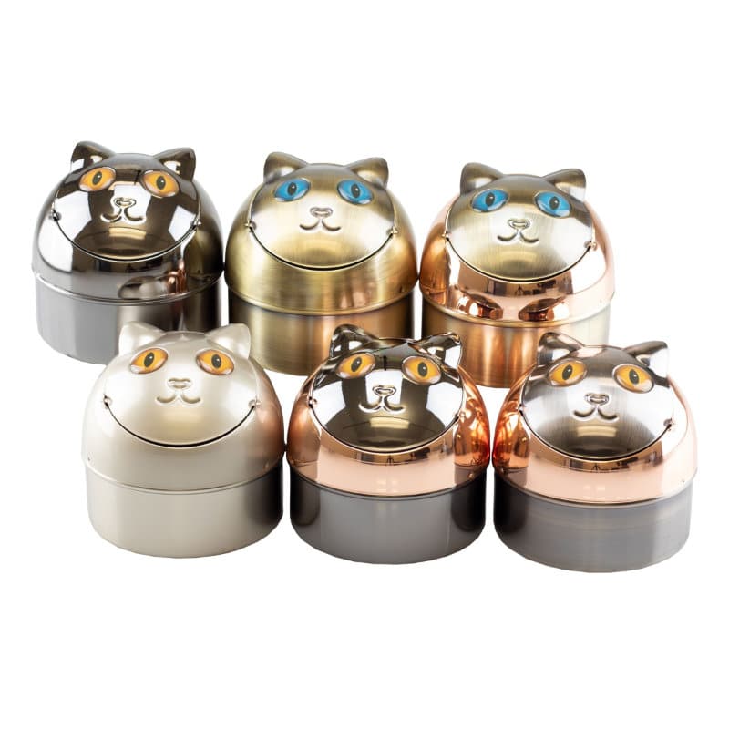 6-1006 Τασακι Γατα