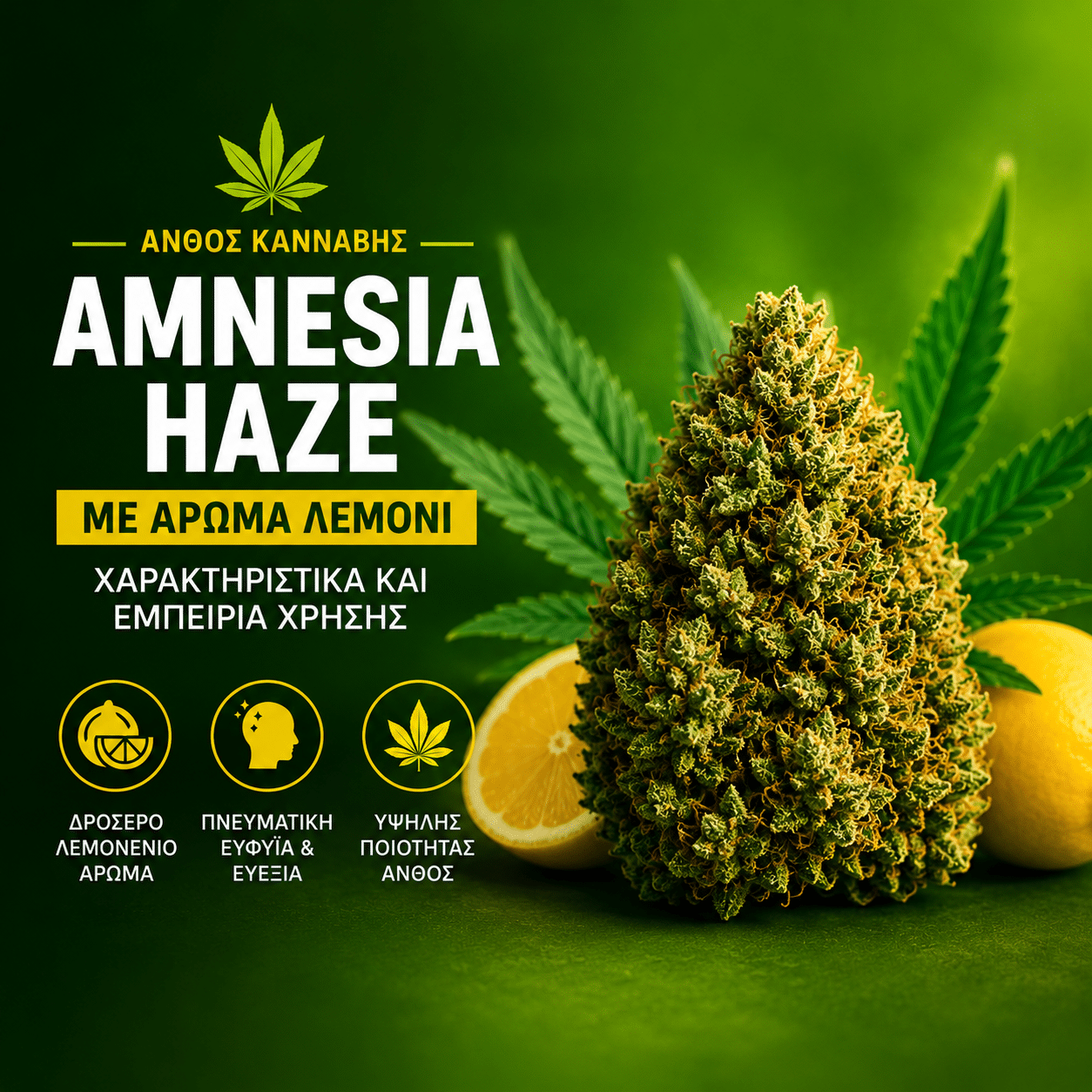 Good Cannabis